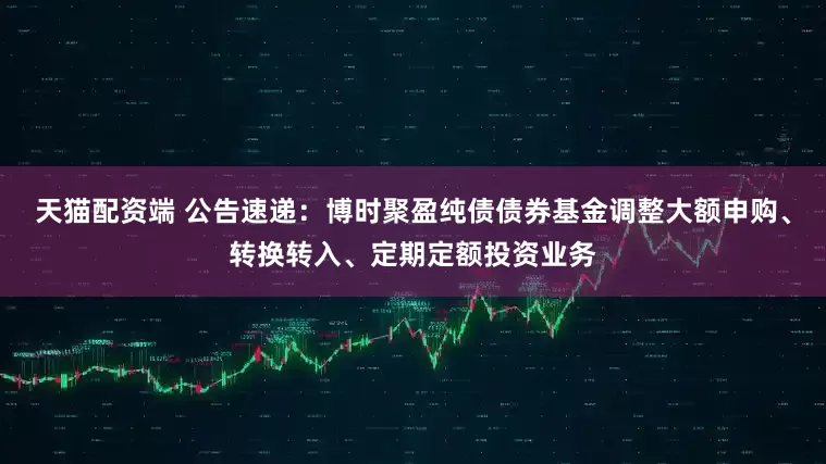 天猫配资端 公告速递：博时聚盈纯债债券基金调整大额申购、转换转入、定期定额投资业务